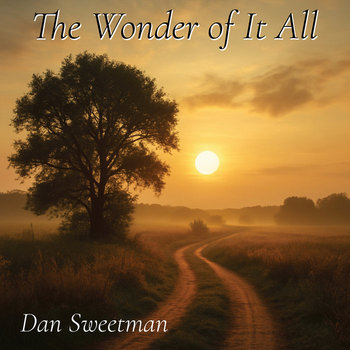The Wonder of It All album cover